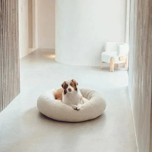 Luxury Boucle Dog Bed