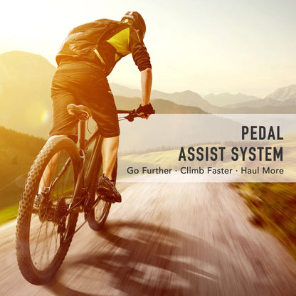 Viribus Electric Bike Conversion Kit 26" Rear Wheel 1000W Hub Motor LCD eBike DIY Set