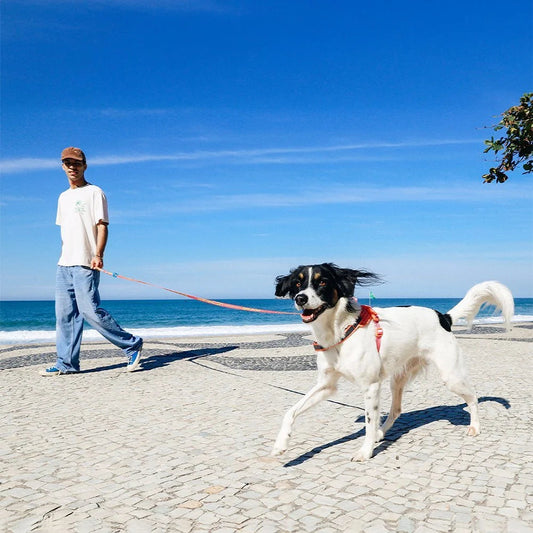 Segundo | Long Leash 2.0