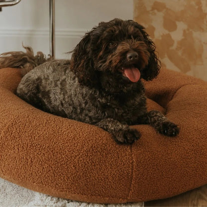 Premium Teddy Bed