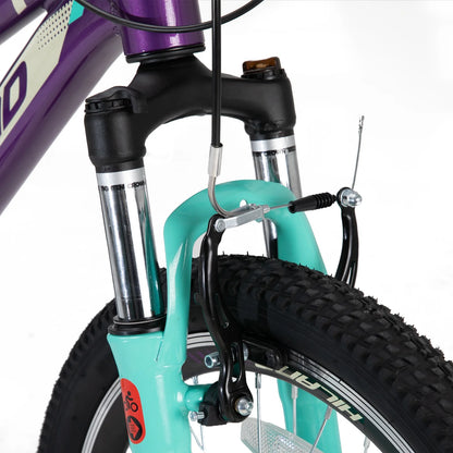 Hiland Mountain Bike for Woman, Shimano 21 Speed 26 inch Wheels Mountain Bicycle, Mint Green